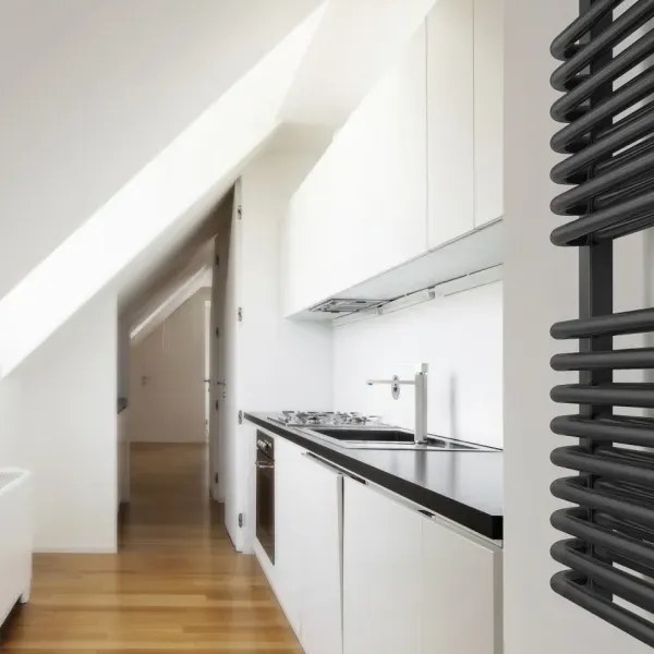 Handdoekradiator Tytus One in een interieur